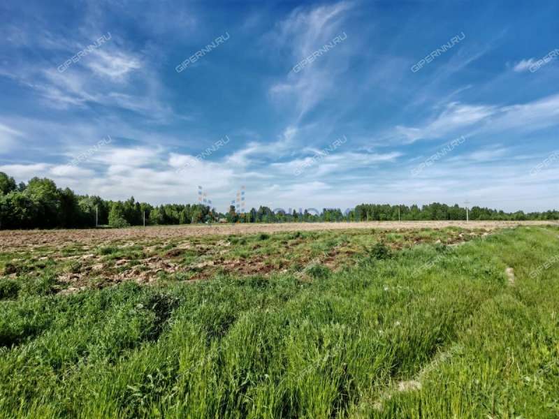 земельный участок 950 соток - деревня Трифакино