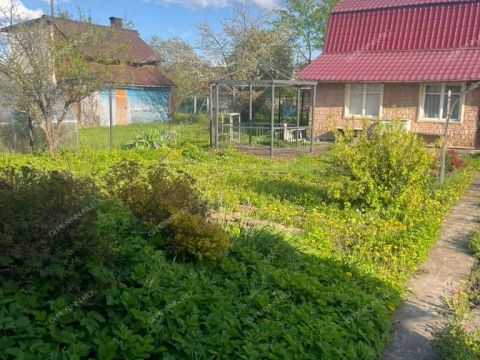 dacha-derevnya-temryashino-gorodskoy-okrug-bor фото