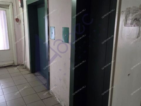 1-komnatnaya-b-r-meshherskiy-d-5a фото