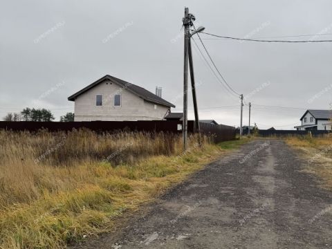 selo-efimevo-bogorodskiy-municipalnyy-okrug фото