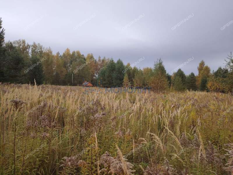 земельный участок 12,25 сотки деревня Бушнёво