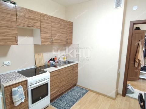 1-komnatnaya-derevnya-ankudinovka-kstovskiy-rayon фото