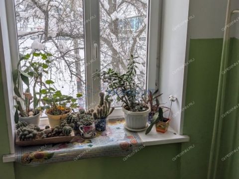 1-komnatnaya-ul-vyacheslava-shishkova-d-7-k1 фото