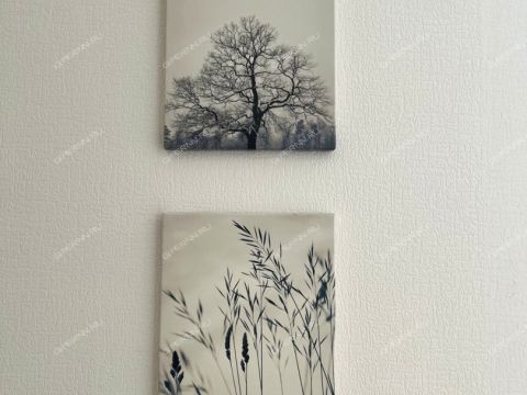 1-komnatnaya-ul-2-ya-oranzhereynaya-d-4 фото