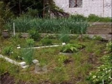 dacha-prosp-molodezhnyy фото