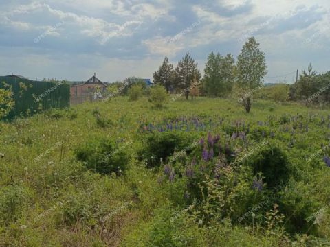 derevnya-shumilovo-bogorodskiy-municipalnyy-okrug фото