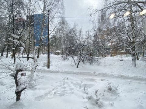 3-komnatnaya-ul-brinskogo-d-5-k1 фото