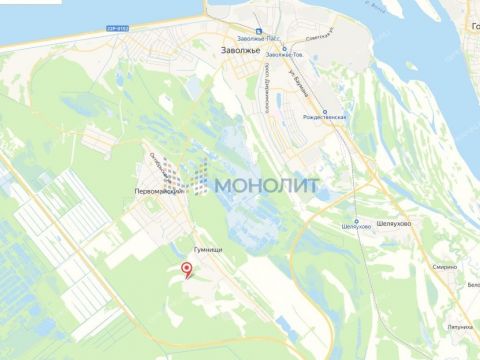 derevnya-gumnishhi-balahninskiy-municipalnyy-okrug фото