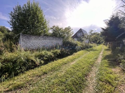 sad-berezhok-derevnya-shoniha-ter-snt-bogorodskiy-municipalnyy-okrug фото