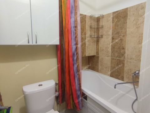 2-komnatnaya-gorod-kstovo-kstovskiy-rayon фото