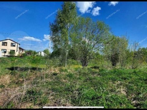 derevnya-berezovka-bogorodskiy-municipalnyy-okrug фото