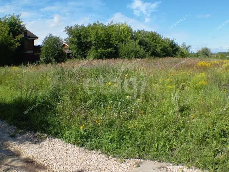 земельный участок 13,1 сотки улица Черкасский Порядок село Афанасьево