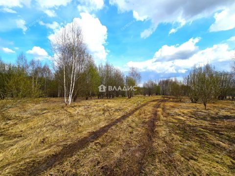 priokskiy-rayon фото