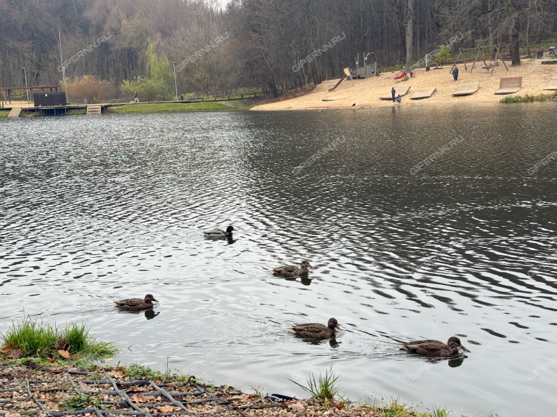 однокомнатная квартира на улице Героя Советского Союза Аристархова дом 7