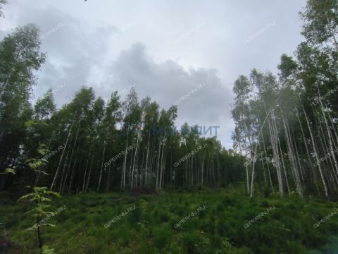 derevnya-besedy-gorodskoy-okrug-chkalovsk фото