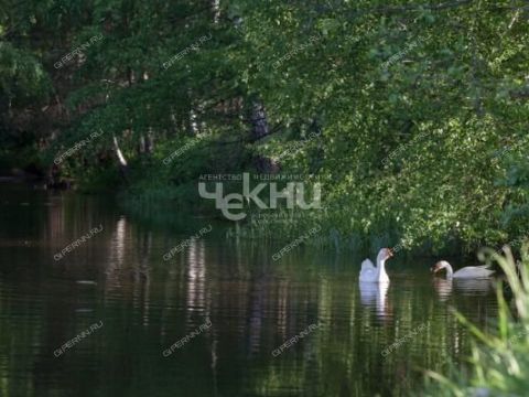 dom-derevnya-molchanovo-sokolskiy-gorodskoy-okrug фото