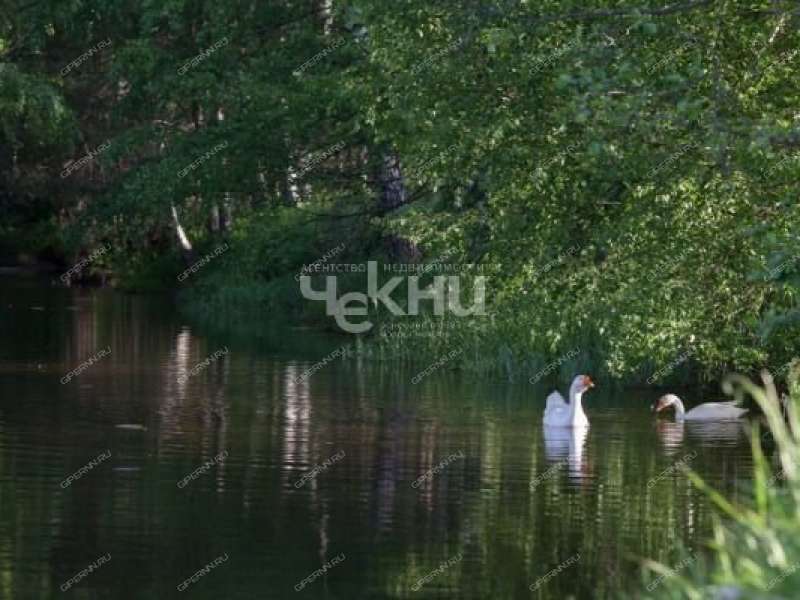дом на улице Центральная деревня Молчаново