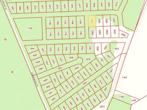 derevnya-ivanovskoe-gorodskoy-okrug-bor фото