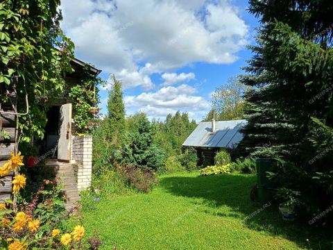 dom-derevnya-slyadnevo-bogorodskiy-municipalnyy-okrug фото