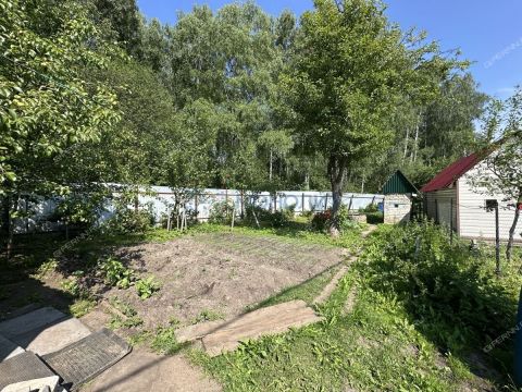 dacha фото