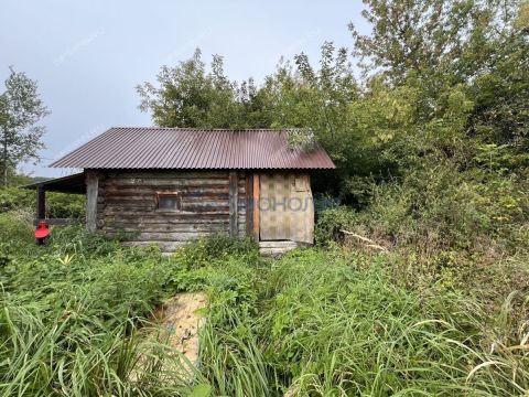 dom-derevnya-prudy-pavlovskiy-municipalnyy-okrug фото