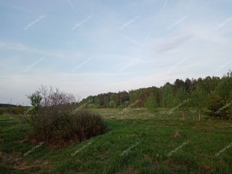 derevnya-nepecino-bogorodskiy-municipalnyy-okrug фото