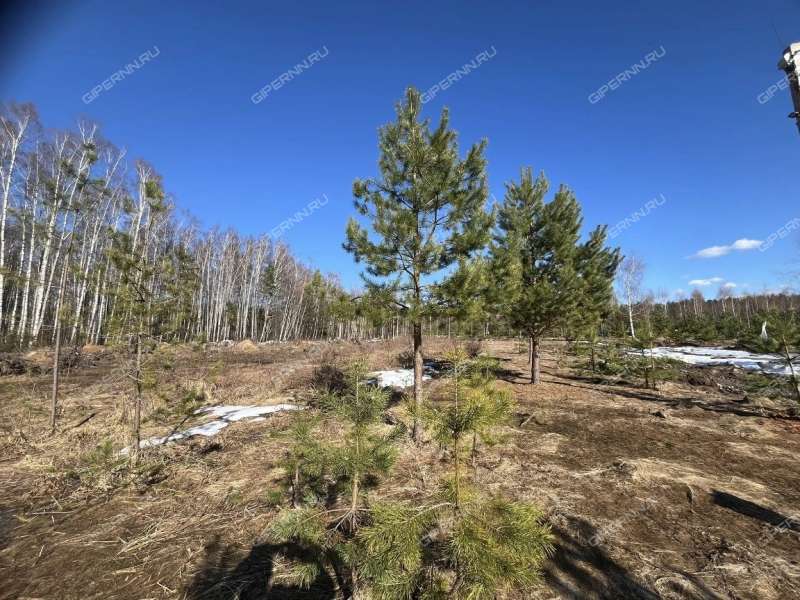 земельный участок под сельхоз назначение в Городецком районе Нижегородской области