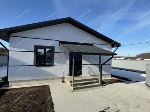 dom-derevnya-berezovka-bogorodskiy-municipalnyy-okrug фото