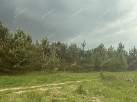 derevnya-nepecino-bogorodskiy-municipalnyy-okrug фото