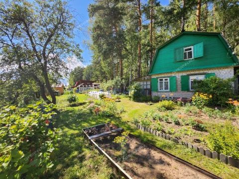 dacha-poselok-sitniki-gorodskoy-okrug-bor фото