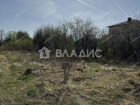 derevnya-ankudinovka-kstovskiy-rayon фото