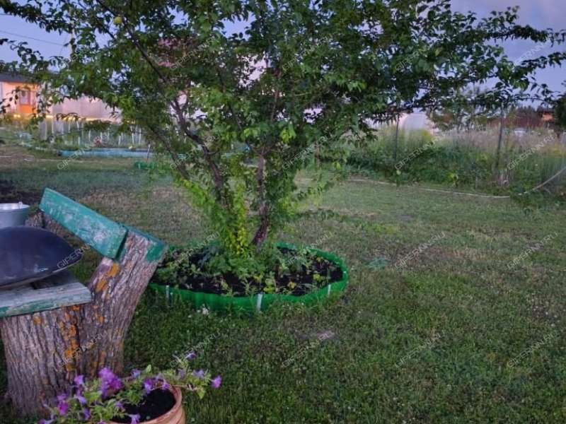 дом на Полевой улице