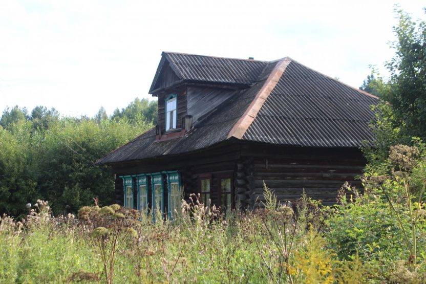 Фото: Ксения Ражева / gipernn.ru