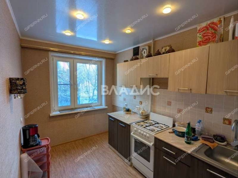 двухкомнатная квартира на улице Германа Лопатина дом 14