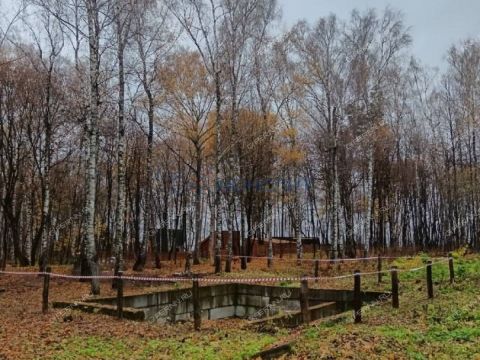 derevnya-zimenki-kstovskiy-rayon фото