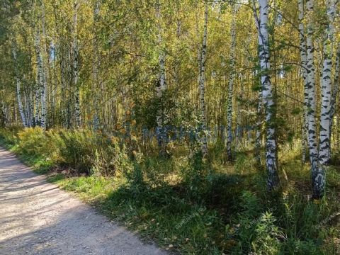 selo-elhovka-kstovskiy-rayon фото