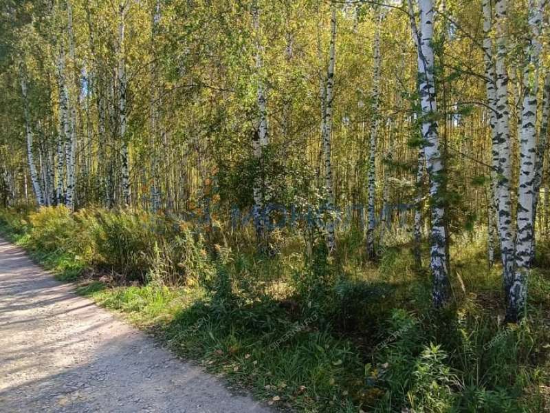 земельный участок 30 соток ТИЗ Елховка - Березовая улица село Елховка