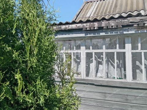 dacha-rabochiy-poselok-pervomayskiy-gorodeckiy-rayon фото