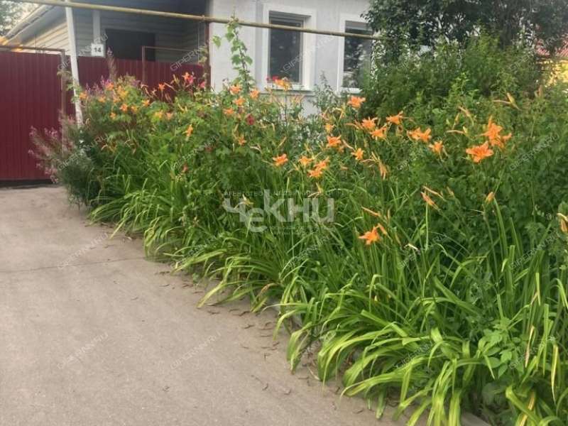 дом на Ново Луговая рабочий посёлок Большое Мурашкино