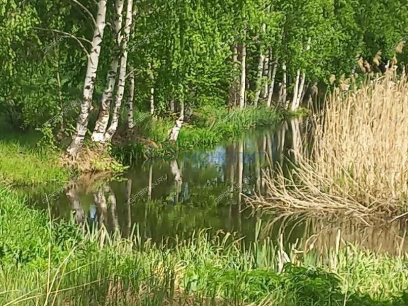 земельный участок 114 соток Лесная улица деревня Александровка