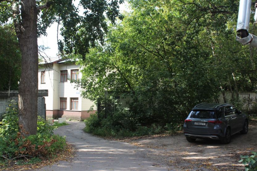 Фото: Ксения Ражева / gipernn.ru