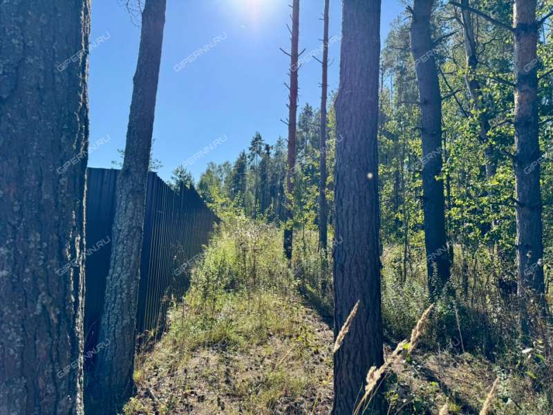 земельный участок 15 соток село Гремячая Поляна