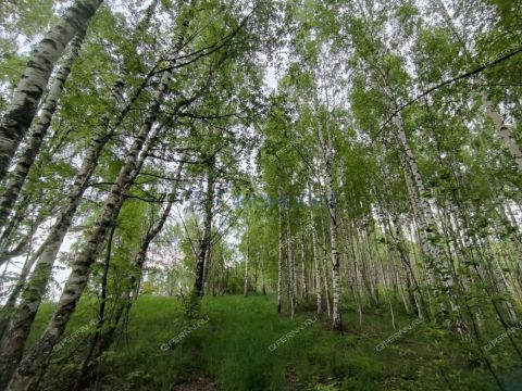 derevnya-besedy-gorodskoy-okrug-chkalovsk фото