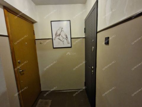 2-komnatnaya-gorod-sarov-gorodskoy-okrug-sarov фото