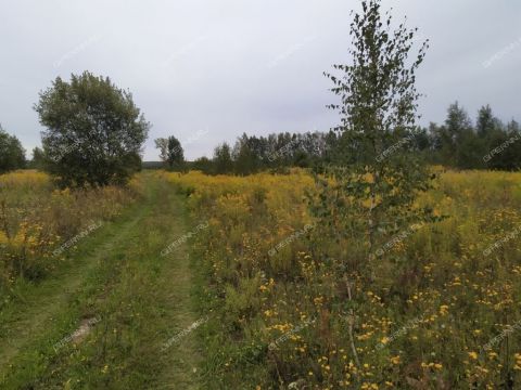 derevnya-kileley-bogorodskiy-municipalnyy-okrug фото