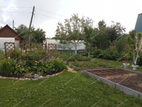 dacha-snt-nadezhda фото