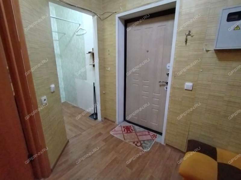 однокомнатная квартира на Парковой улице дом 10 город Кстово