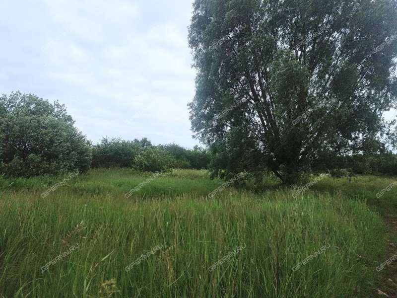 земельный участок 4 сотки Зелёная улица деревня Змейка