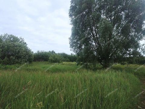 derevnya-zmeyka-gorodskoy-okrug-vyksa фото