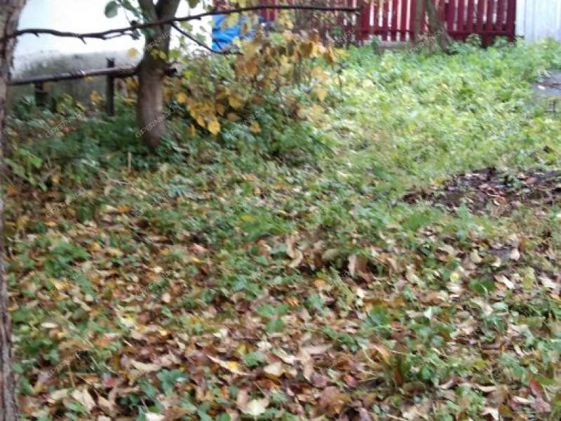 1/2 дома на Весенней улице рабочий посёлок Горбатовка